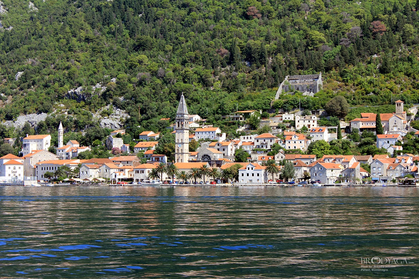 Perast